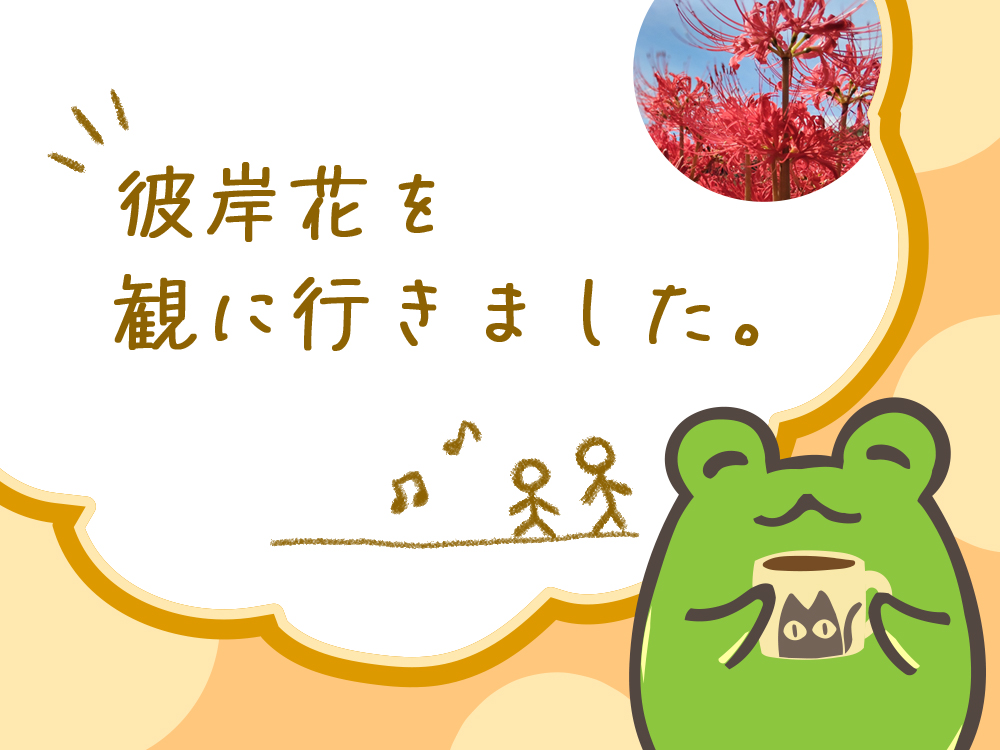 彼岸花を観に行きました。