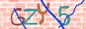 キャプチャ画像